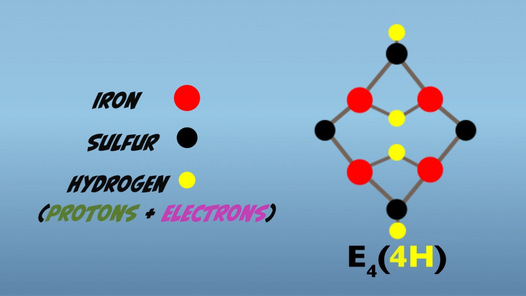 Hydrogen in E4