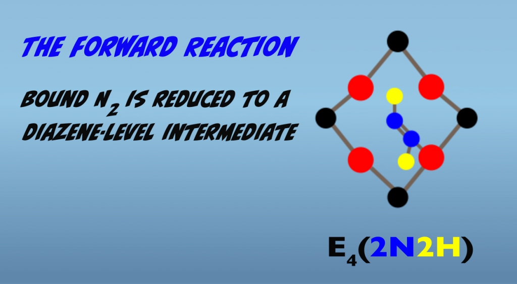 Third step of the forward reaction at the Janus Intermediate