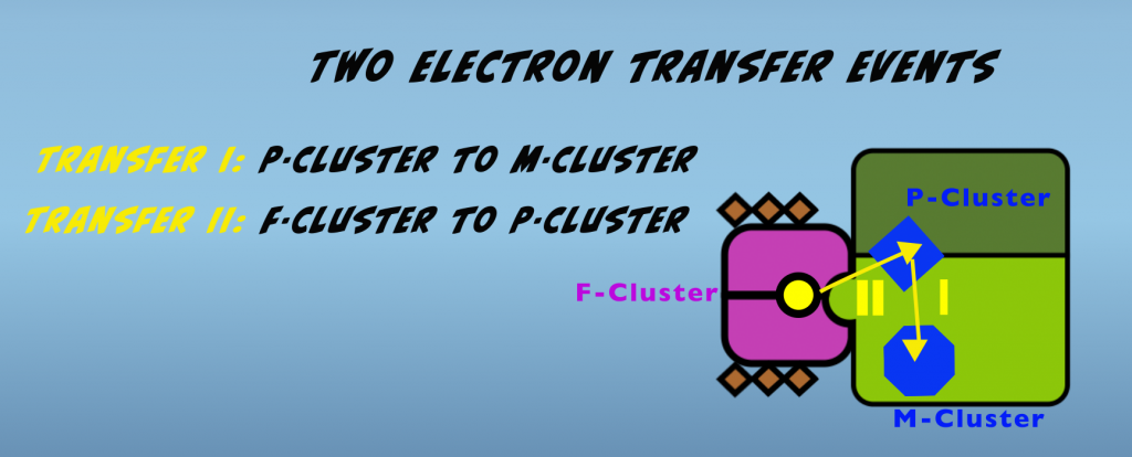 Two electron transfers
