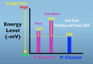 F Cluster Energy graph