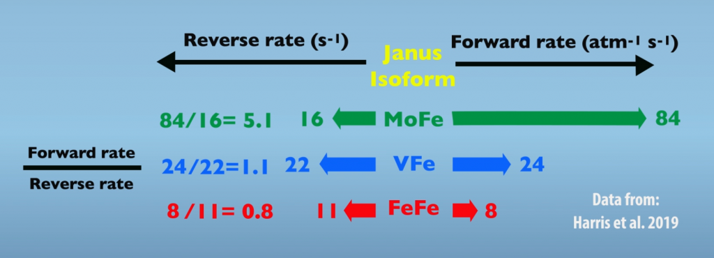 Comparison of Nitrognease isoforms in forward and reverse reaction rates that the Janus Intermediate