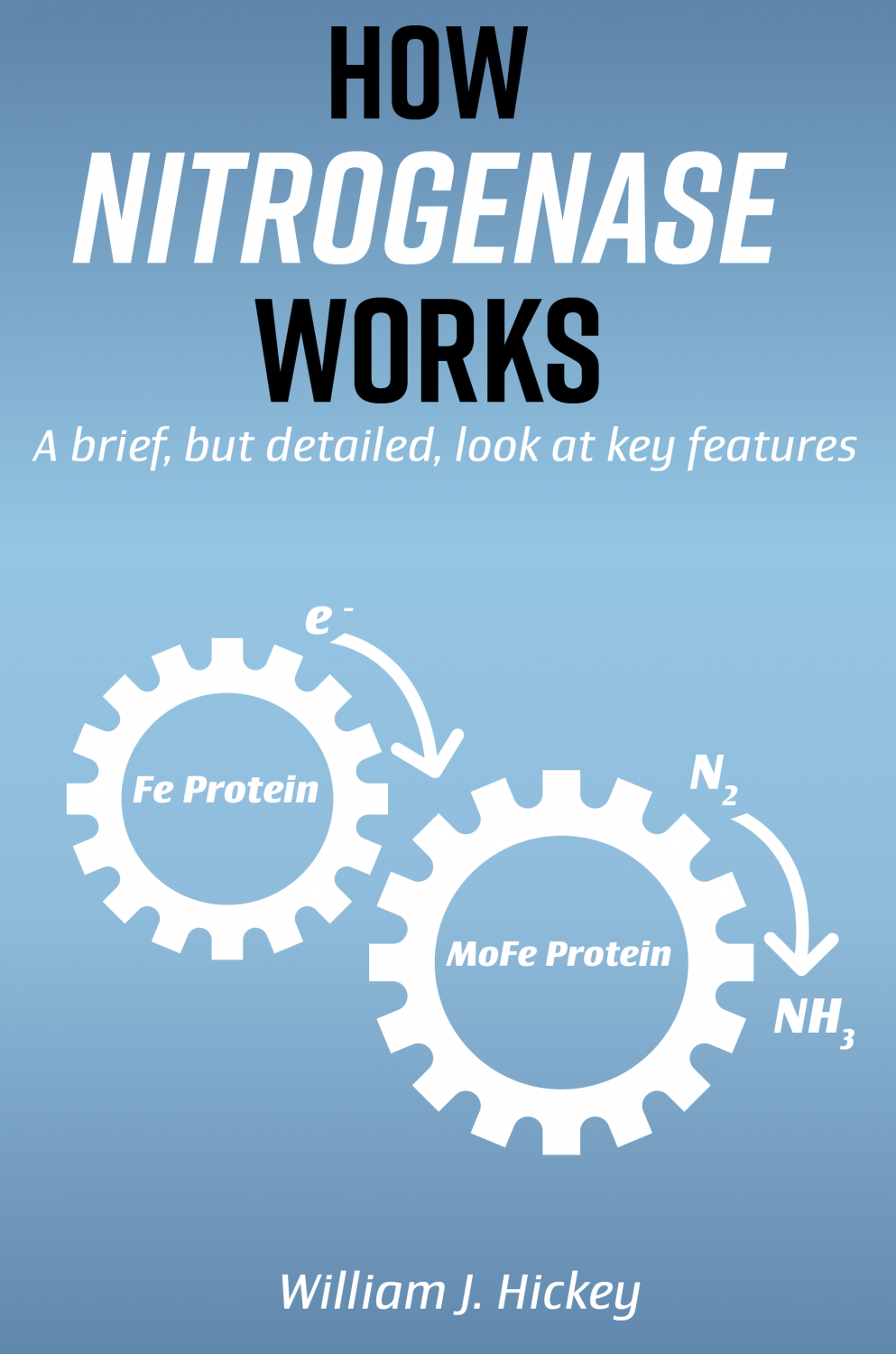 Cover image for How Nitrogenase Works