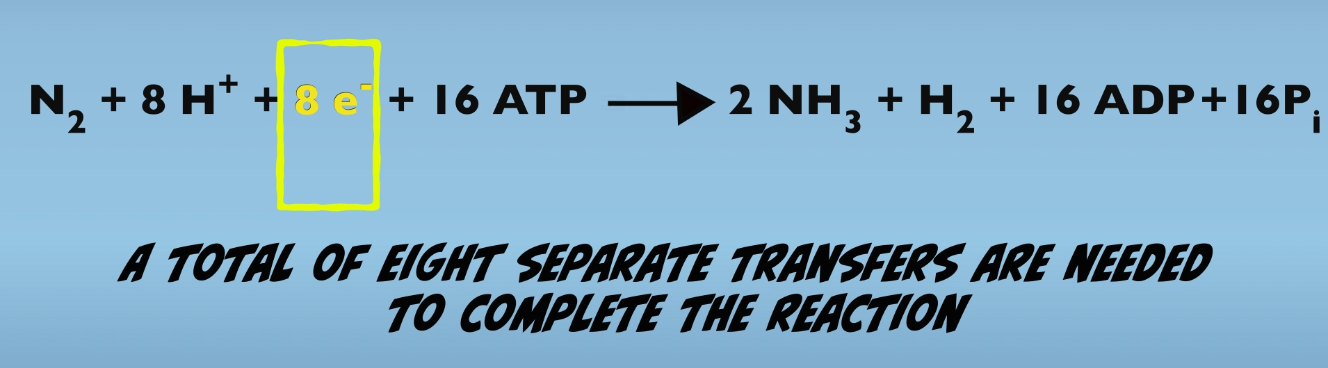 The Nitrogenase chemical equation “Mysteries” of Nitrogenase function