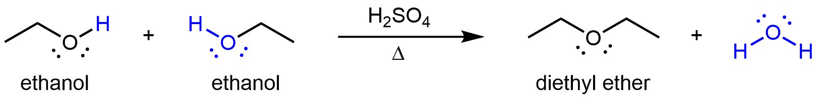 This figure shows a reaction. The first molecule, which is labeled, “ethanol,” is a two C atom chain with the second C atom is bonded to a OH group. The H in the OH group is highlighted blue. There is a plus sign. The next molecule, which is labeled, “ethanol,” is also a two C atom chain with the second C atom is bonded to a OH group. The OH group is highlighted in blue. To the right of the second molecule there is an arrow labeled H subscript 2 S O subscript 4 above and Greek capital delta below. The resulting molecules is labeled, “diethyl ether.” It has two ethyl groups on either side of O atom. There is a plus sign and a blue water molecule.