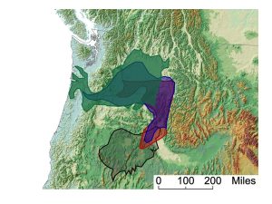 Map of Pacific Northwest of the United States, showing area covered by flood basalts