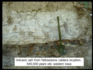 Layer of whitish volcanic ash, with a shovel for scale