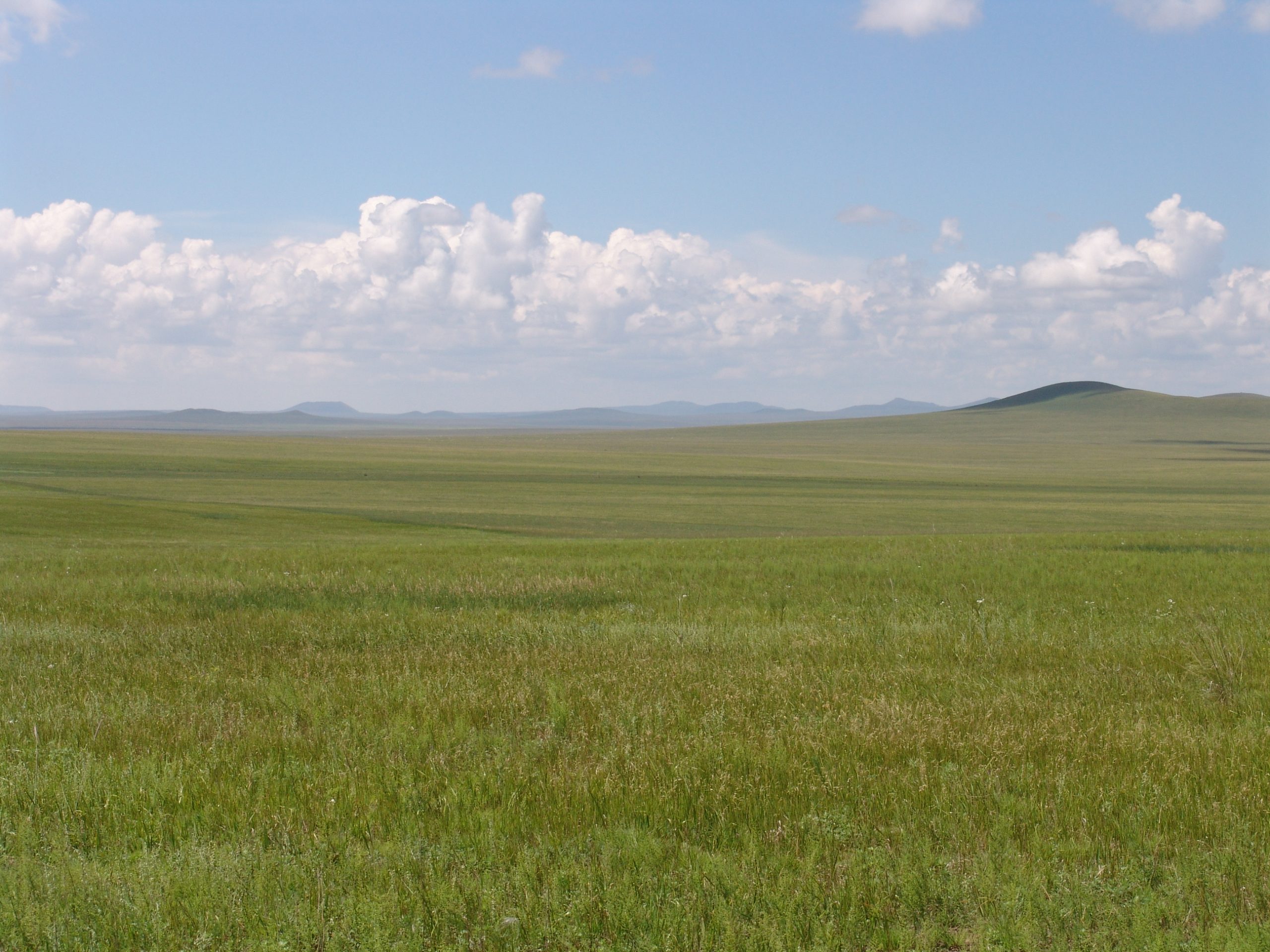 flat grassland with hills in the distance