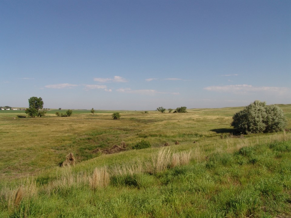 Photo of dry stream valley