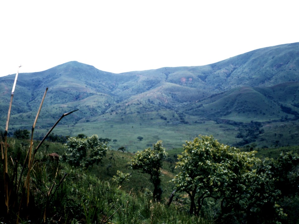 photo of mountains covered by tropical savanna, with small scattered trees and large grass-covered areas.