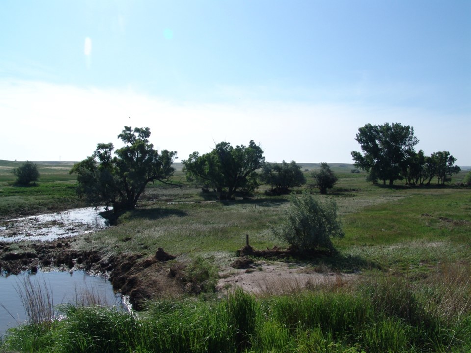 View of stream valley after flood has receded. Water standing in pools