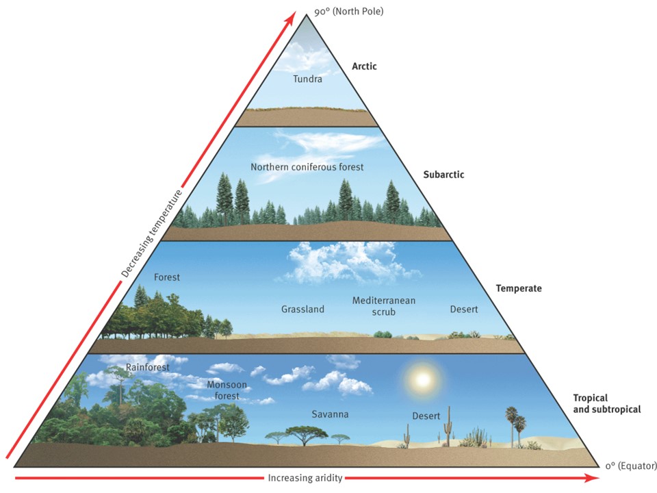 Triangular diagram showing relationship between major global biomes and two climate variables, temperature and moisture. Temperature is related to distance from the Equator