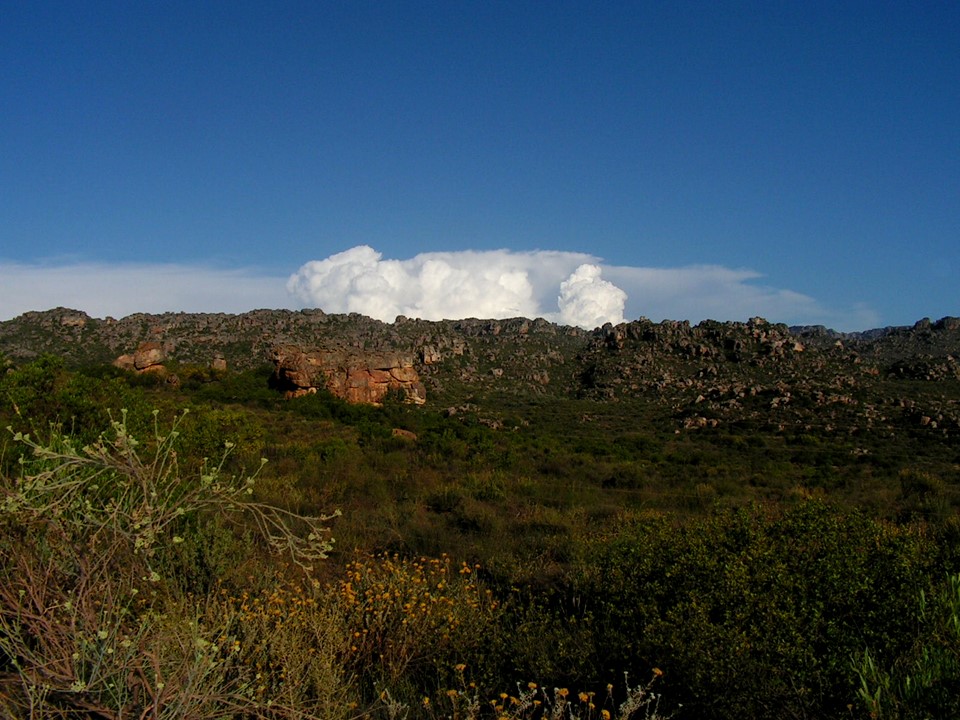 Rocky landscape covered with shrubs and small trees