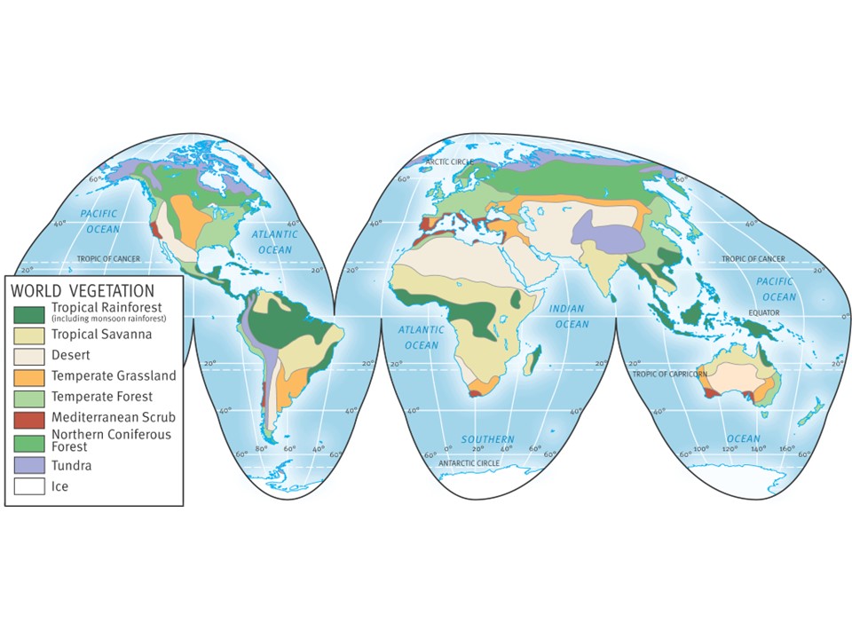 Map of global biomes