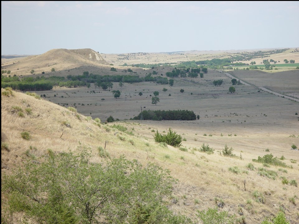 landscape mostly covered with dry grasses