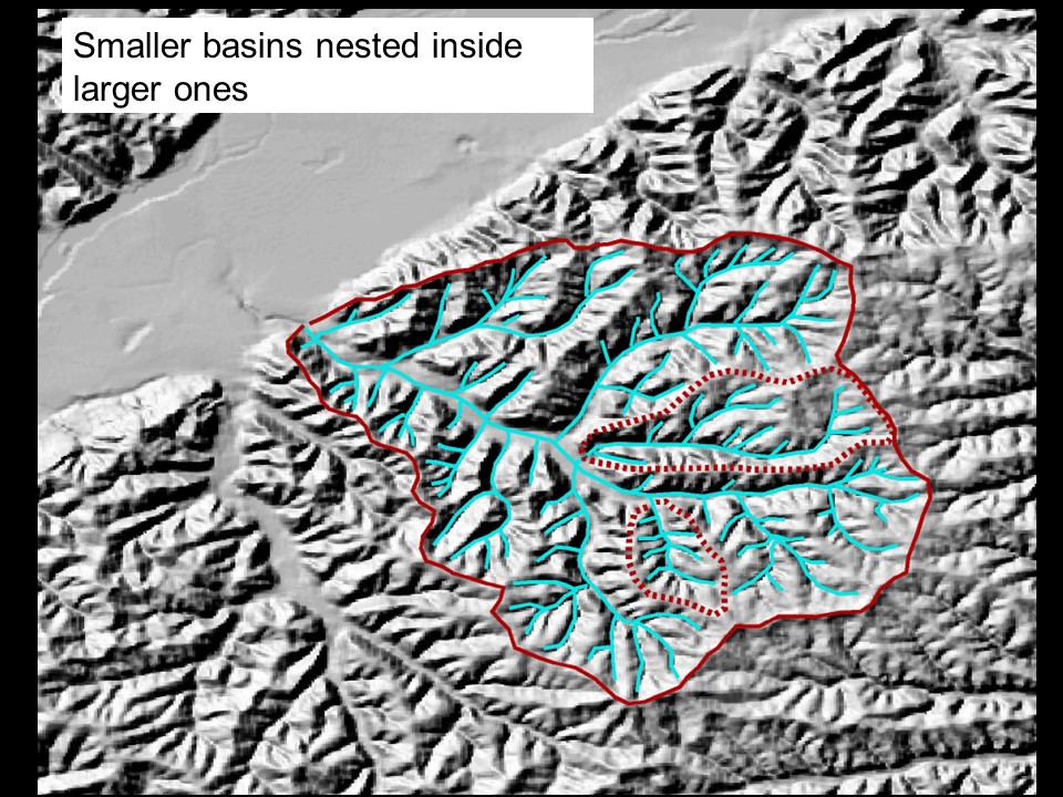 Map showing stream network inside a drainage basin. Smaller basins within the large one are also shown.