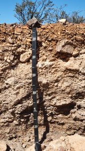 Photo of a soil profile. The middle horizons have been cemented by calcite and look like rock. There is a tape for scale and desert plants are growing on the soil surface