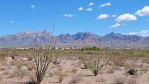 Photo of a desert landscape, with mountains in the distance