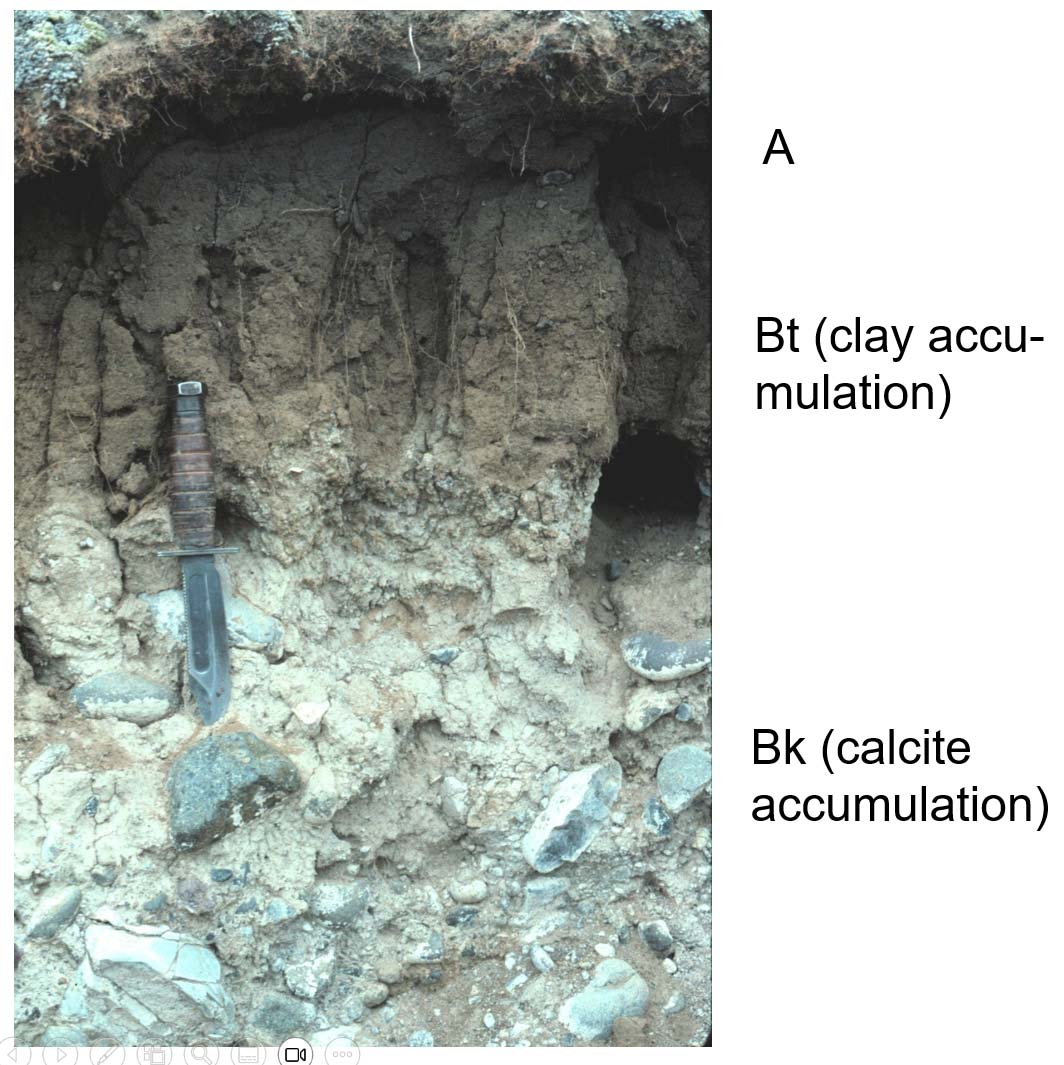 Soil Horizons and the Soil Orders – Geography 127