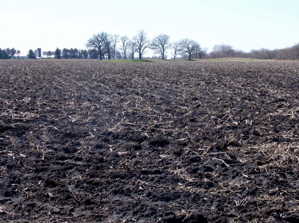 Field of mostly bare dark soil. A few trees, silos, and farm buildings in the distance