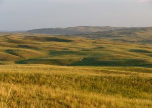 Rolling, grass covered topography, with no trees visible