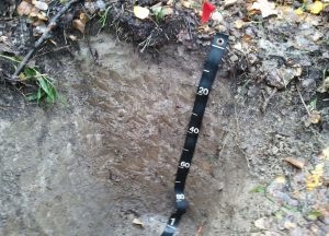 Photo of a soil pit with vertical walls and a measuring tape hanging on one wall