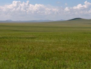 Grassland, very green, with almost no trees. Hills visible in the distance