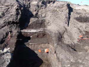 Dark-colored soil exposed in a pit