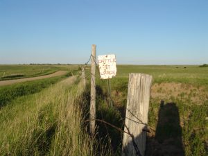 Photo of a fence in grassland, with a road on one side. A sign on the fence says "Cattle at Large".