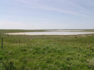 Photo of grassland with no trees and two small salt lakes in the distance