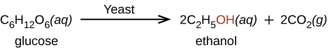 This figure shows the reaction of glucose to produce ethanol and C O subscript 2. The reaction shows C subscript 6 H subscript 12 O subscript 6 ( a q ) arrow labeled “yeast” 2 C subscript 2 H subscript 5 O H (a q) plus 2 C O subscript 2 ( g ). The O H in ethanol is shown in red.