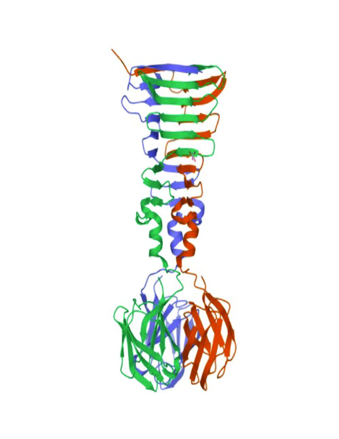 Cover image for Engineering Bacteriophage Laboratory