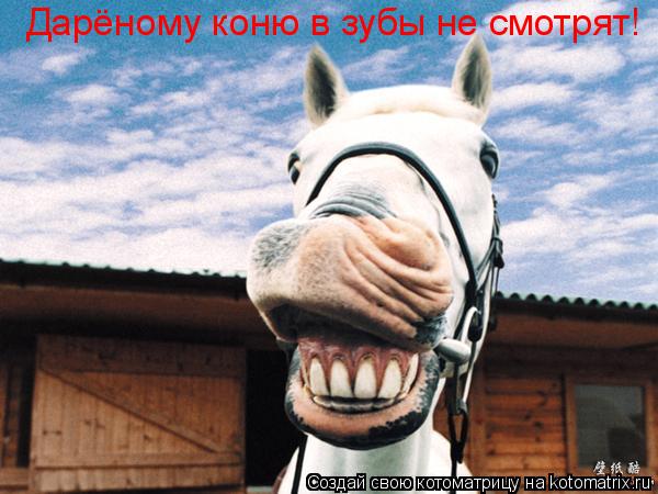 a horse with big teeth: Дарёному коню в зубы не смотрят!