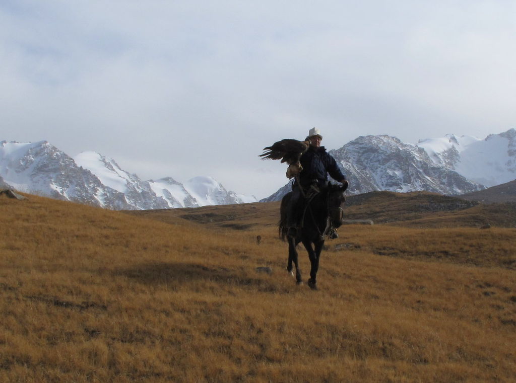 a man riding on a horse holding a golden eagle, in the mountains