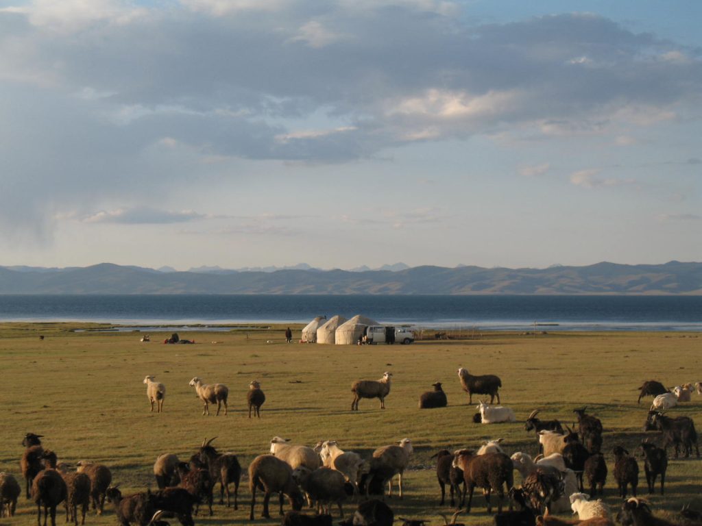 a pasture in the mountains with 3 yurts and a bunch of animals