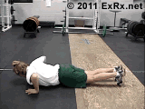 Pectoralis major is crucial to doing a push-up: for protraction of the scapula and extension of the humerus.