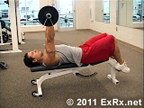 Elbow Extension increases the angle between arm and forearm. (From ExRx.net)