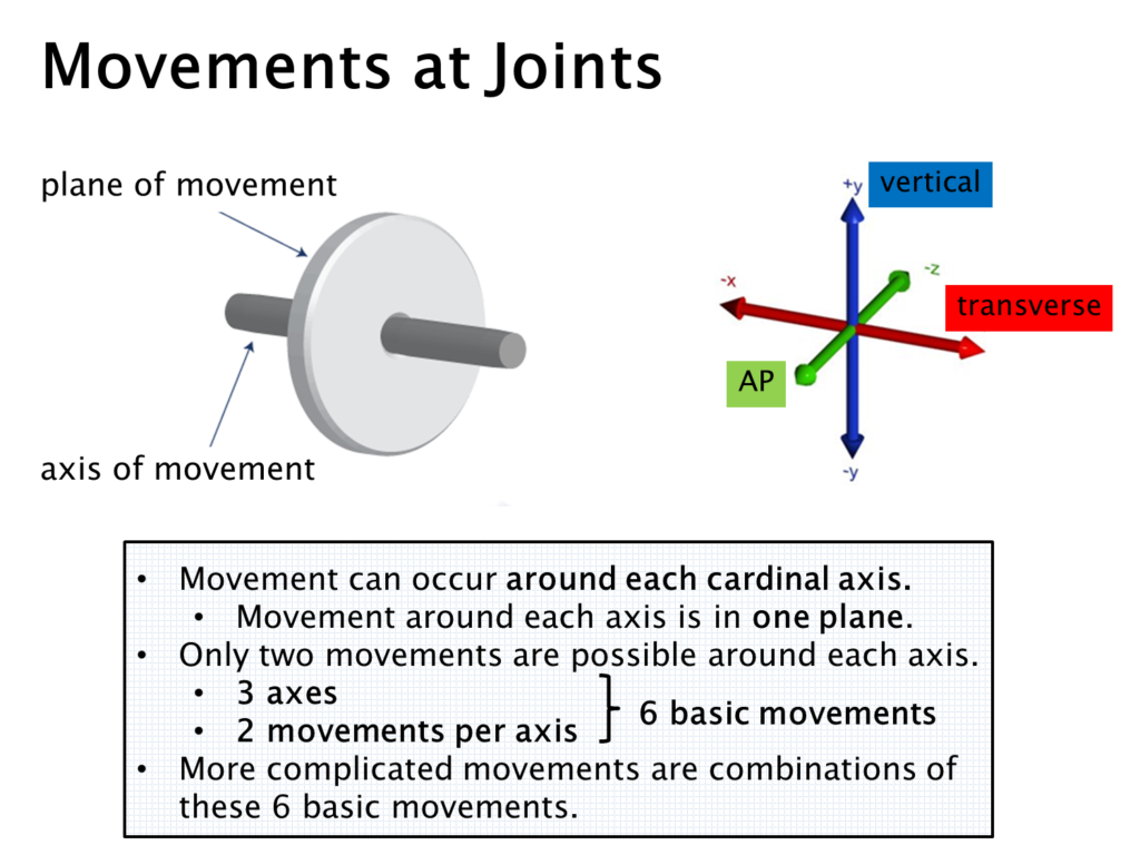 Diagram of the relationship between the cardinal axes and planes of movement.