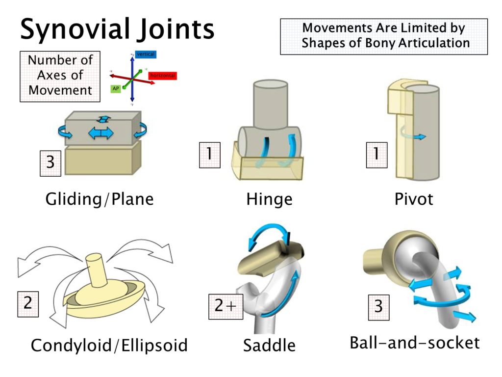 Diagram of the 6 types of joint and the number of axes around which they can move.