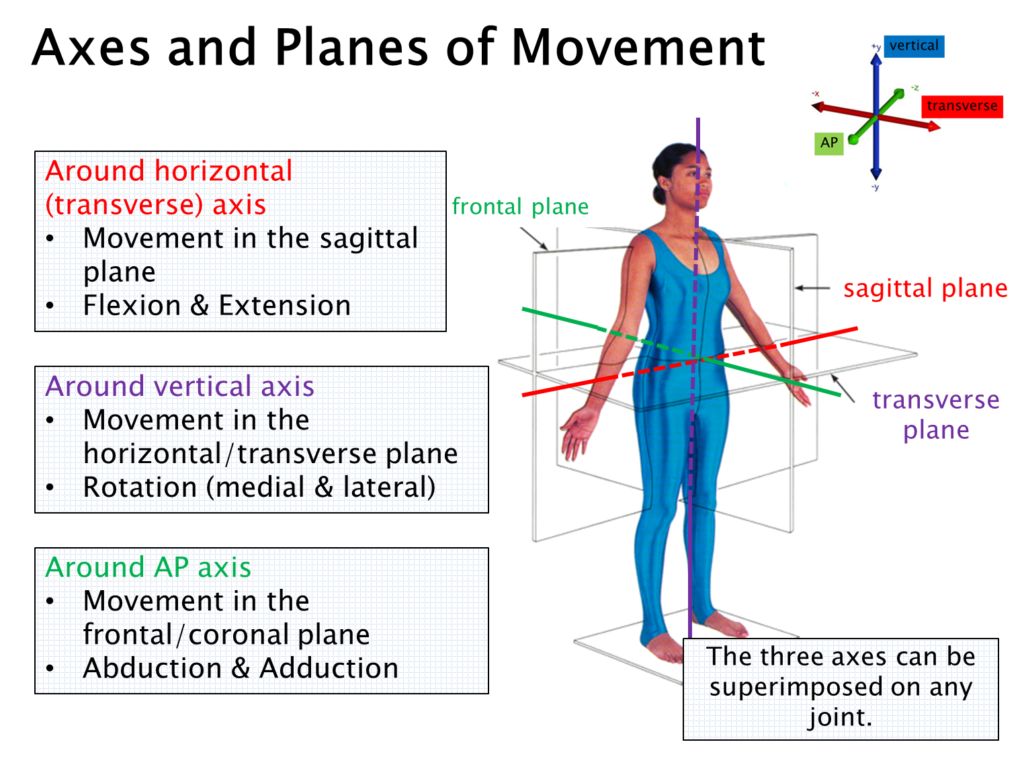 Diagram of axes and planes of movement superimposed on a human body.