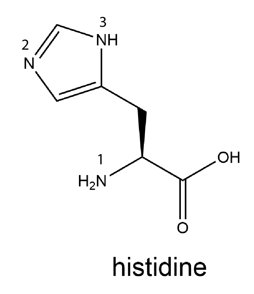 A N-1 H 2 is bonded to a C atom bonded to a carboxylic acid group. The C-atom side chain has a C H 2 group then a 5-member ring with C double bond C single bond N-2 double bond C single bond N-3 H single bond back to the first C.