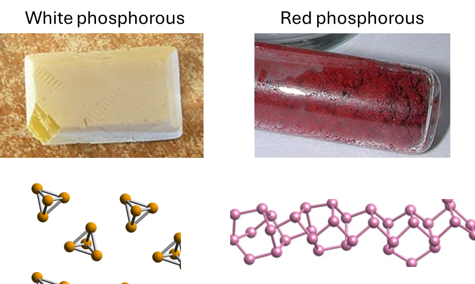 Left: a chunk of white phosphorous shown, along with P4 molecular structure. Right: a vial of red phosphorous shown, along with polymeric molecular structure.