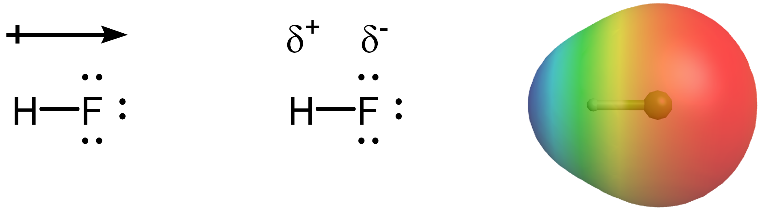 left: H-F showing bond dipole arrow, starting from H end, pointing at F end. Center: H-F showing δ⁺ on H and δ⁻ on F. Right: electrostatic potential map of HF showing higher electron density on F.