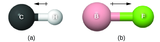 Two images are shown and labeled, “a” and “b.” Image a shows a large sphere labeled, “C,” a left-facing arrow with a crossed end, and a smaller sphere labeled “H.” Image b shows a large sphere labeled, “B,” a right-facing arrow with a crossed end, and a smaller sphere labeled “F.”