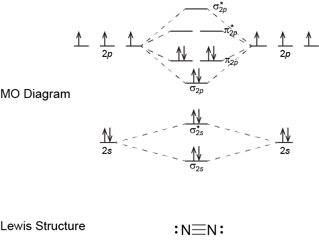 The figure shows MO energy level diagram for N\(_2\) above its Lewis structure. In the MO diagram for N\(_2\) there are pairs of electron arrows, one pointing up, one pointing down, in all MOs up to pi 2 p. The Lewis structure for N\(_2\) has three bond lines between the N symbols and one lone pair on each N. From the MO diagram the bond order of N\(_2\) is three, which corresponds to the number of bond lines in the Lewis diagrams.