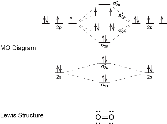 The figure shows MO energy level diagram for O\(_2\) above its Lewis structure. In the MO diagram for O\(_2\) there are pairs of electron arrows, one pointing up, one pointing down, in all MOs up to pi-star 2 p. The two pi-star 2 p MOs each have one electron arrow pointing up. The Lewis structure for O\(_2\) has two bond lines between the O symbols and two lone pairs on each O. From the MO diagram the bond order of O\(_2\) is two, which corresponds to the number of bond lines in the Lewis diagrams.