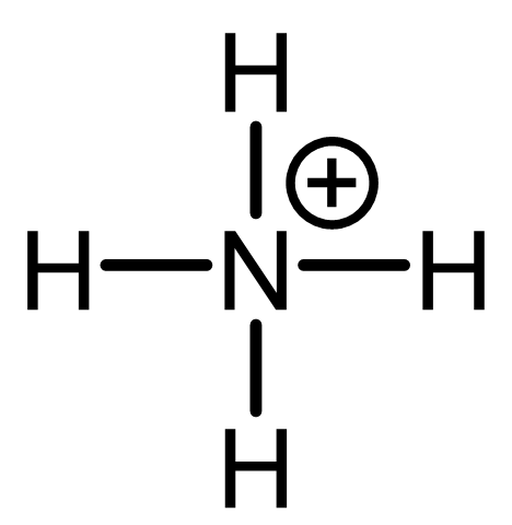 Lewis structure of ammonium, NH4+.