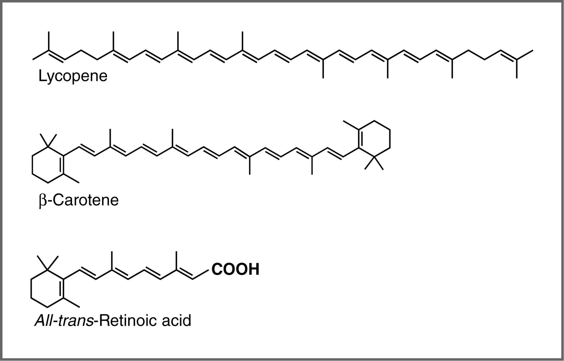 An image of three long structures. The first structure is labeled as "Lycopene" with a horizontal ziz-zag going with 31 lines drawn. The second structure is labeled as "Beta- Carotene" starting with a hexagon and the a horizontal zig-zag 19 lines and ends with a hexagon. The last structure is labeled as "All trans_Retinoic acid" starting with a hexagon and then a horizontal zig-zag with 9 lines and ends with the letteer "COOH."