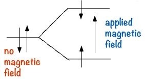 An image of a line that branches out to two parts and into two straight lines. The first single line has two arrows pointing up and down labeled as "no magnetic field." And the two straight lines have arrows pointing towards the middle. And in the middle there is another arrow to the right pointing up labeled as "applied magnetic field."