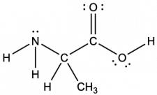 A Lewis structure depicts a nitrogen atom with two lone pairs of electrons that is single bonded to two hydrogen atoms and a carbon atom, which is, in turn, single bonded to a hydrogen atom, a methyl group and another carbon atom. This carbon atom is single bonded to an oxygen atom with two lone pairs of electrons and single bonded to an oxygen that has two lone pairs of electrons and a single bond to a hydrogen atom.