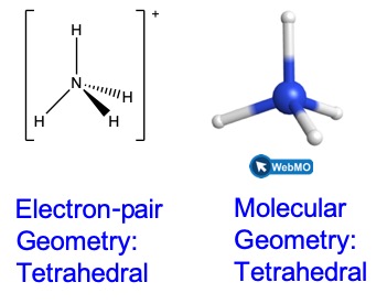 Two representations of ammonium are shown. In the Lewis structure on the left, the nitrogen atom is in the middle surrounded by 4 hydrogen atoms. There are single bonds between the nitrogen and each hydrogen atom. The hydrogen atoms are arranged in a tetrahedral geometry. There are brackets around the entire structure and a superscript plus sign. The label reads “electron-pair geometry: tetrahedral”. The structure on the right is a ball and stick model that is a screenshot of the geometry as seen on Web M O. There is a blue sphere in the middle for the nitrogen atom. Then there are four white spheres arranged in a tetrahedral around the nitrogen. The label beneath the structure reads “molecular geometry: tetrahedral”.